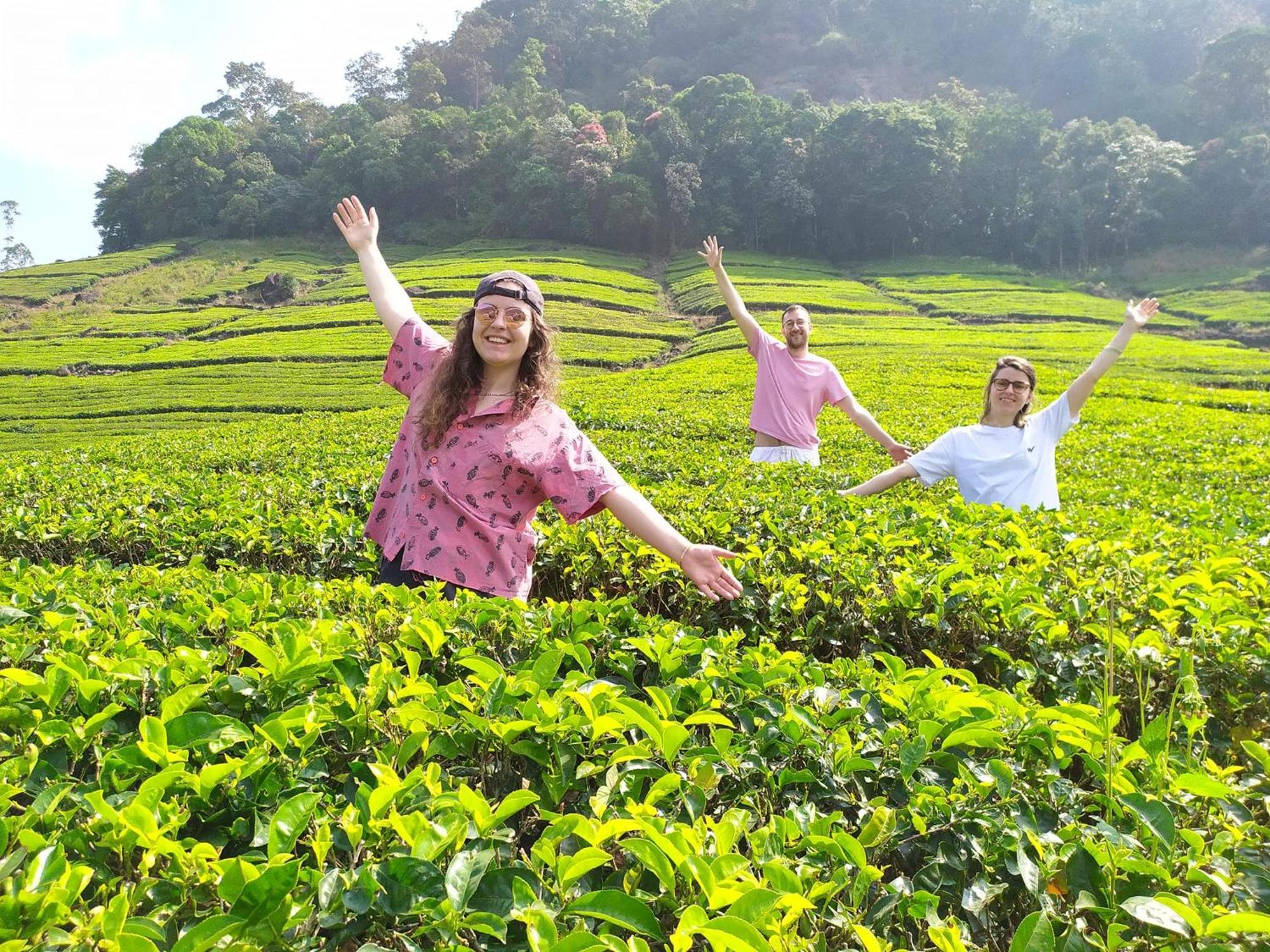 Forestscape Resort Munnar Εξωτερικό φωτογραφία