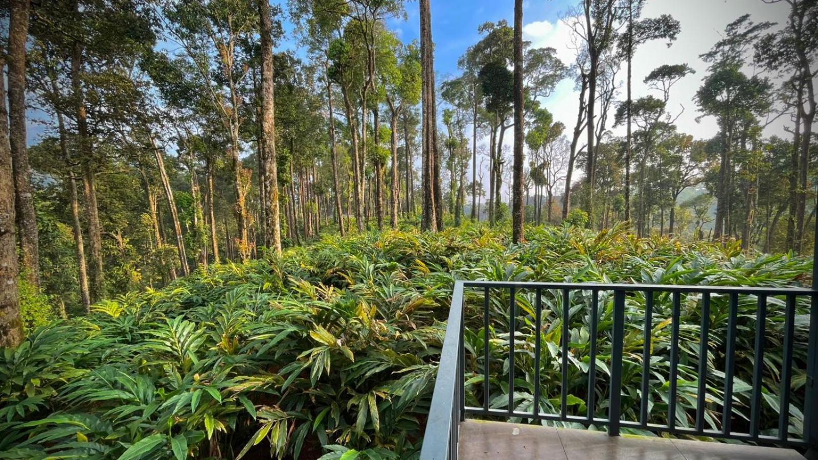 Forestscape Resort Munnar Εξωτερικό φωτογραφία
