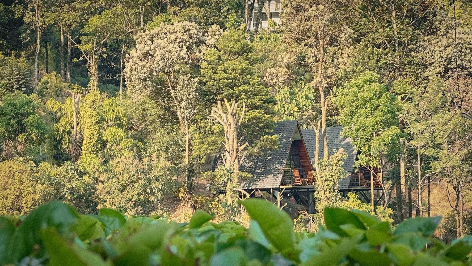 Forestscape Resort Munnar Εξωτερικό φωτογραφία