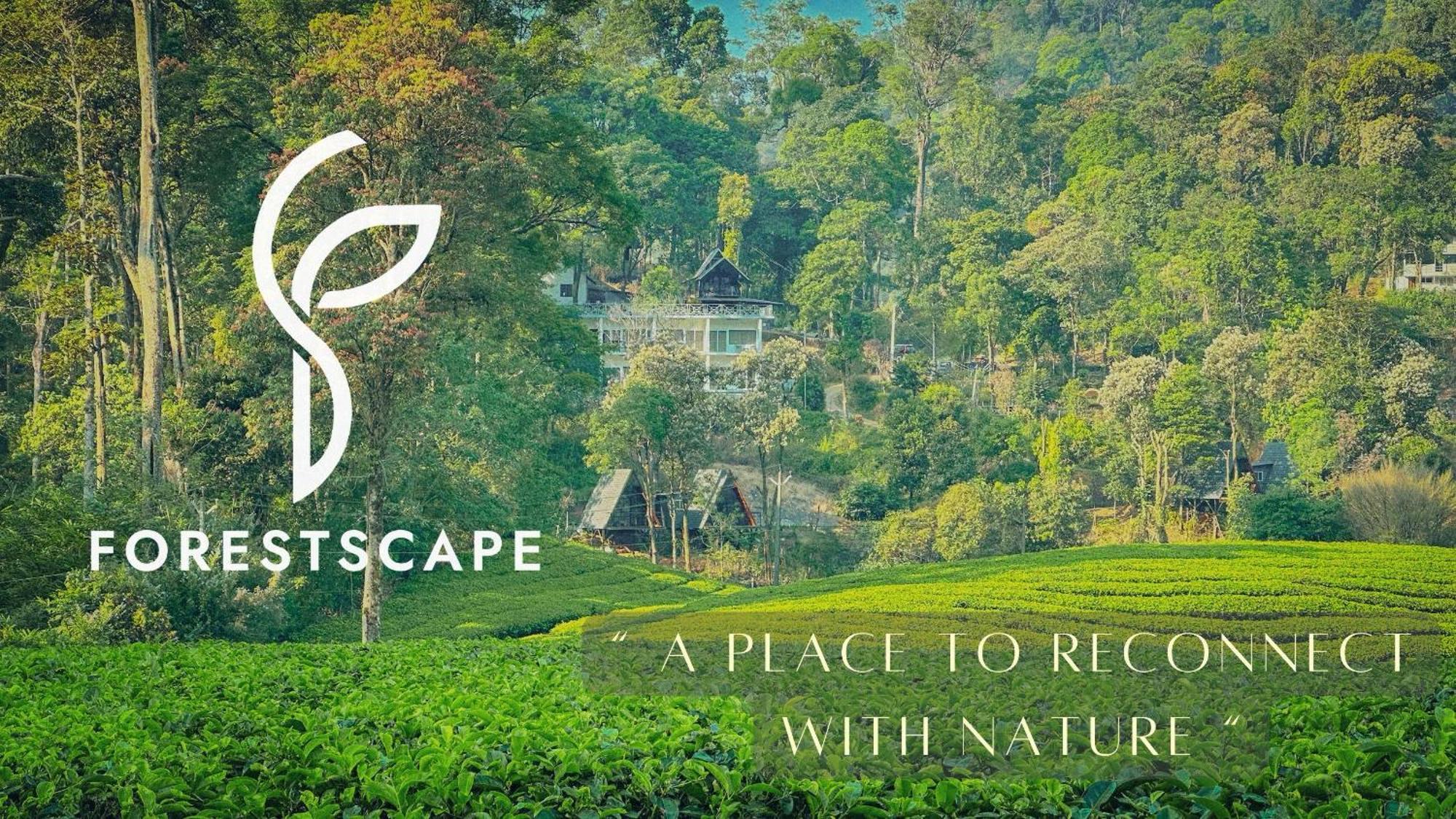 Forestscape Resort Munnar Εξωτερικό φωτογραφία
